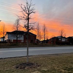 Meet your Posher, Pana